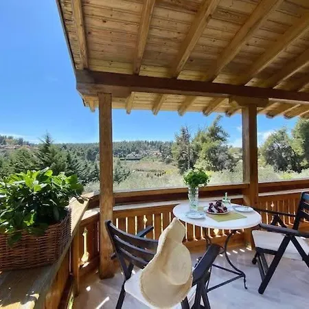 Holiday home Sani Olive Grove Gem - The Ultimate Sunny Getaway