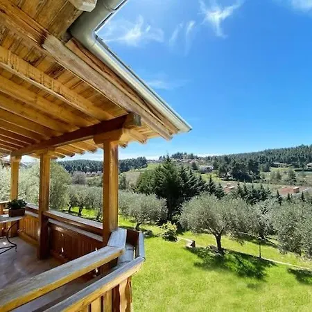 Ferienhaus Sani Olive Grove Gem - The Ultimate Sunny Getaway Elani