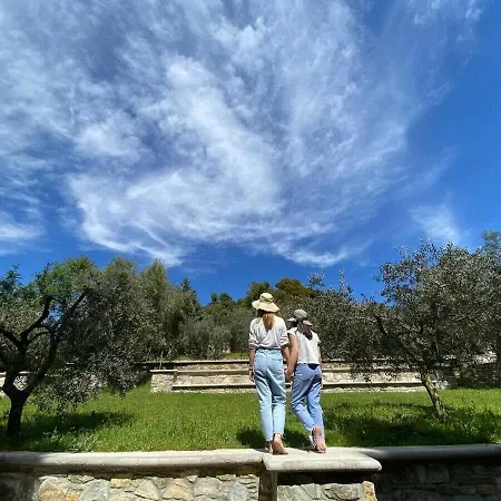 Sani Olive Grove Gem - The Ultimate Sunny Getaway *