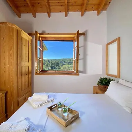 Sani Olive Grove Gem - The Ultimate Sunny Getaway *