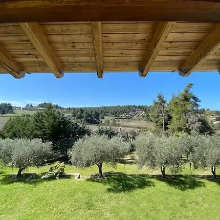 Ferienhaus Sani Olive Grove Gem - The Ultimate Sunny Getaway