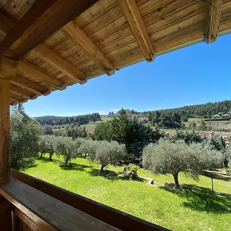 Sani Olive Grove Gem - The Ultimate Sunny Getaway Holiday home *