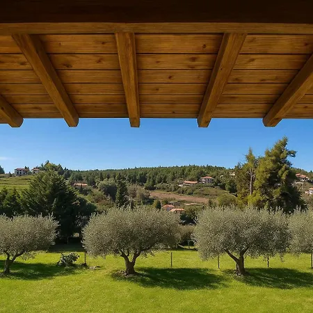 Sani Olive Grove Gem - The Ultimate Sunny Getaway Дом отдыха *