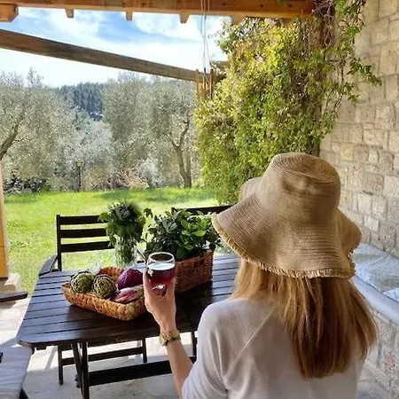 Sani Olive Grove Gem - The Ultimate Sunny Getaway Nyaraló *